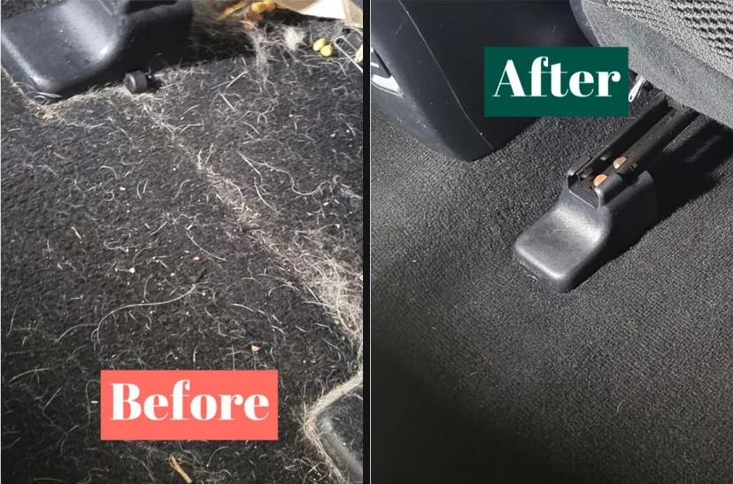 Seattle pet hair removal before and after — embedded dog hair extracted from car carpet at Derek's Auto Detail